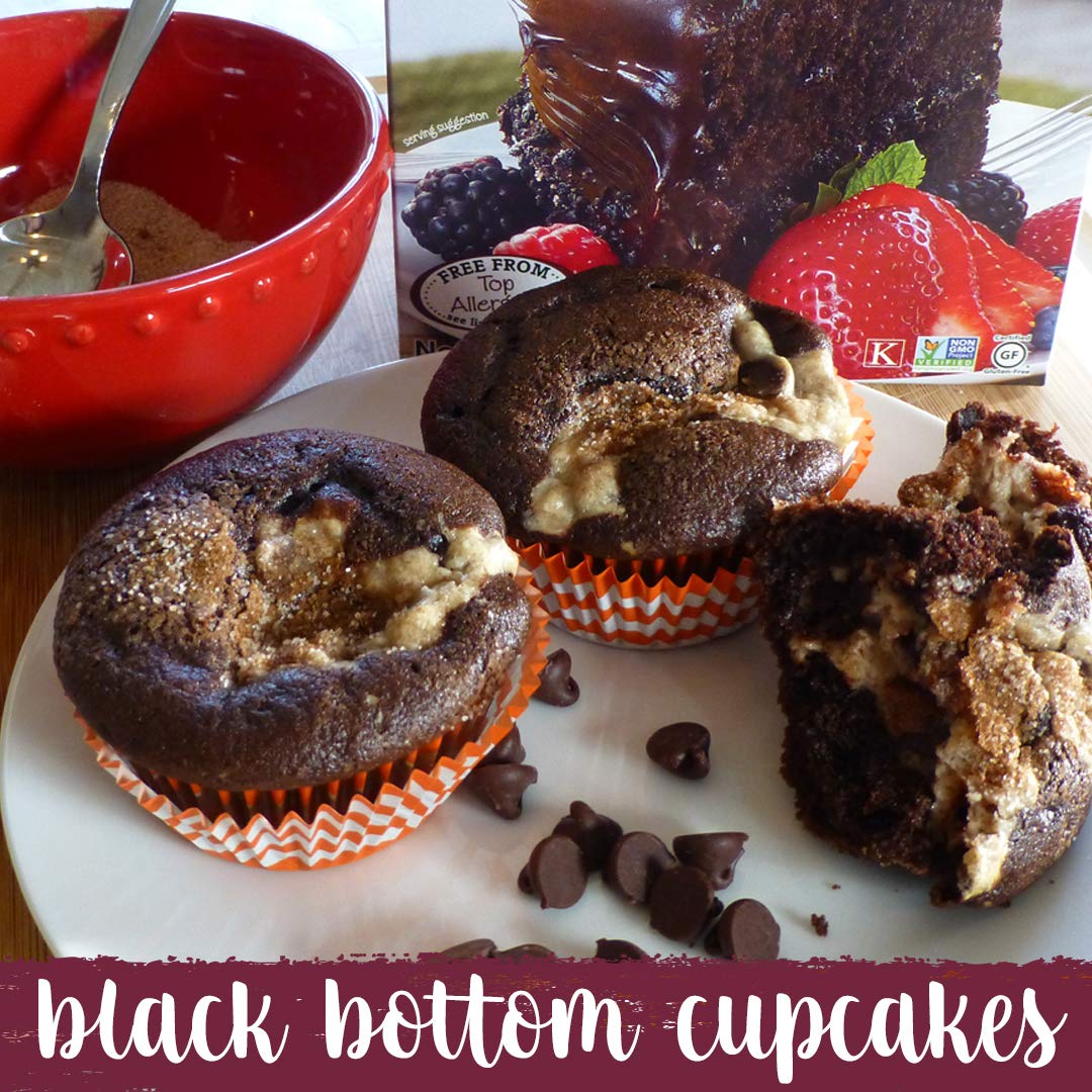 Gluten Free Chocolate Cake Mix (156 Ounce)