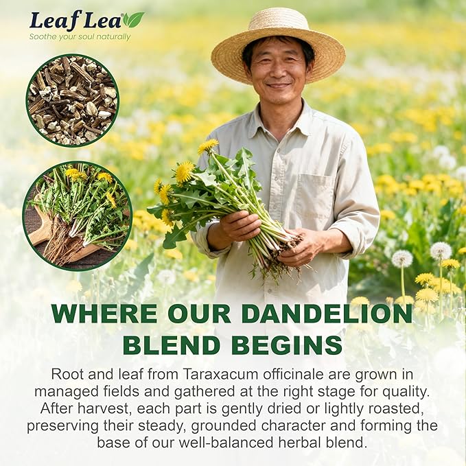 LeafLea 240 Dandelion Root and Leaf Tea Bags, Bulk Dandelion Tea Bags, Natural Dandelion Root Herbal Tea Blend, Te de Diente de Leon, Caffeine-Free, Sugar-Free, Individually Wrapped for Freshness