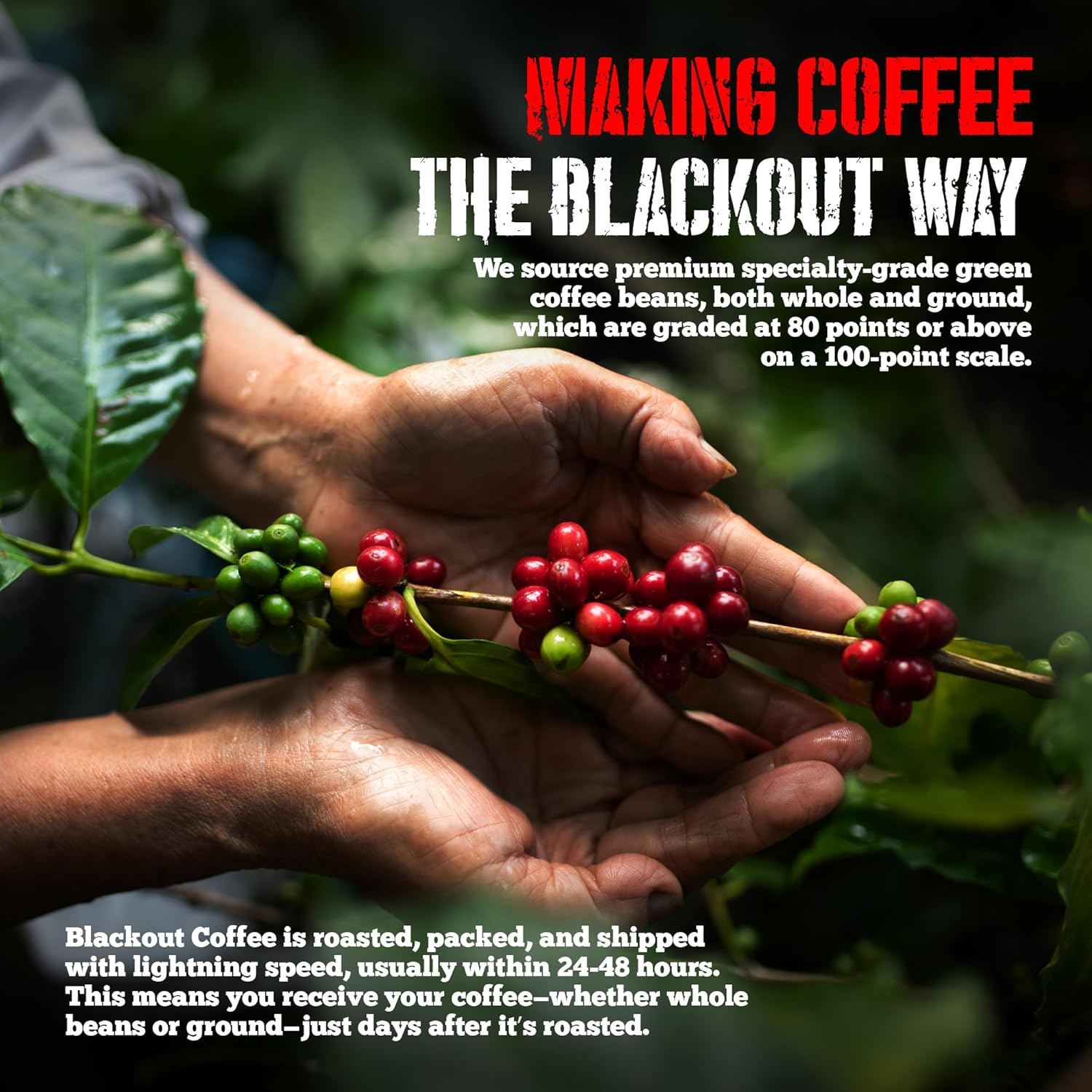 Blackout Coffee Chocolate Cherry Flavored Pods - Freshly Roasted in the USA - K-Cup Compatible Single-Serve Pods (18 Count)