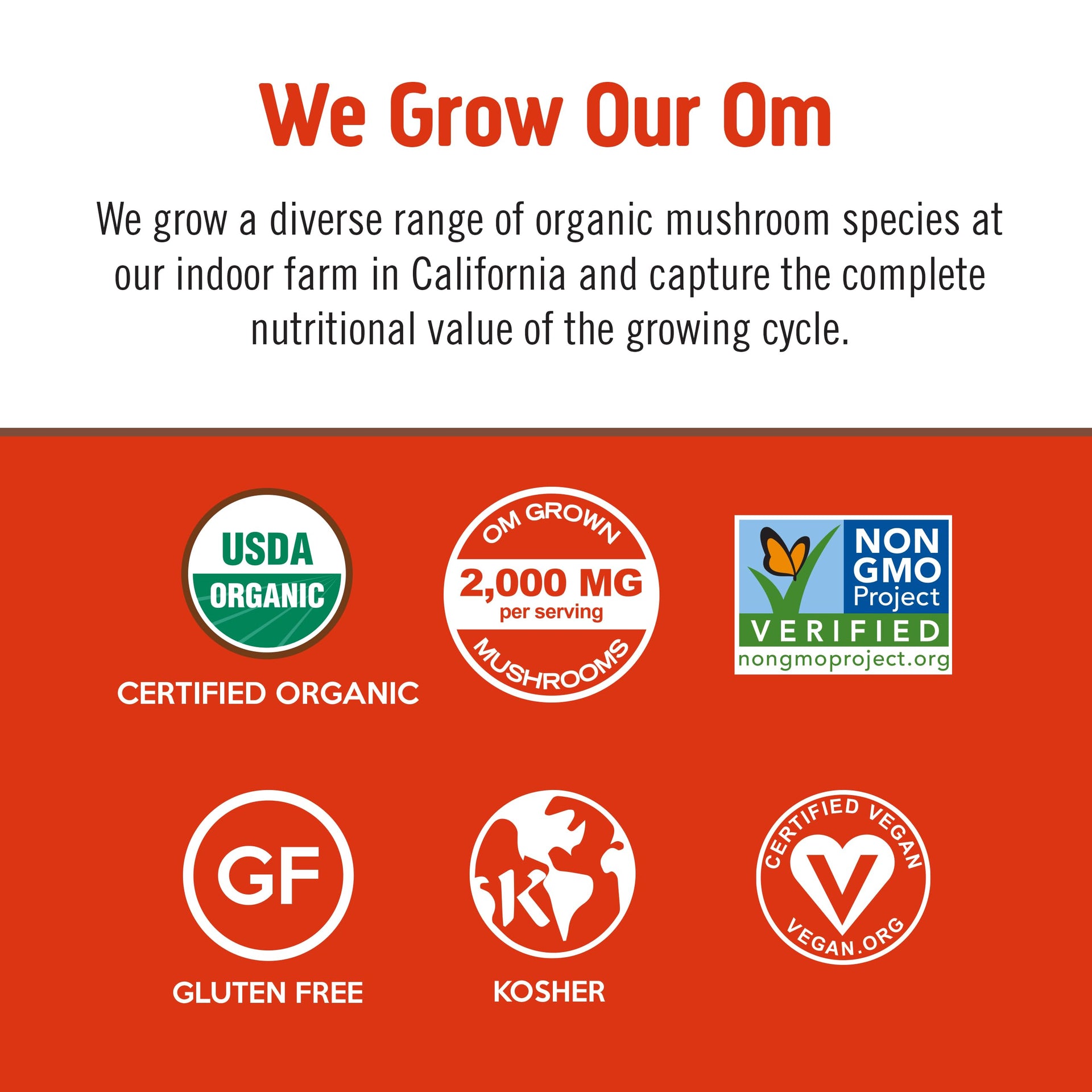 Morning Energy Blend (2.82 Ounce)