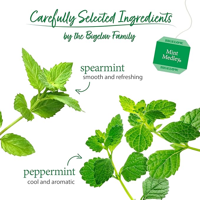 Bigelow Tea Mint Medley Herbal Tea, Caffeine Free Mint Tea with Spearmint and Peppermint, 20 Count Box (Pack of 12), 120 Total Tea Bags