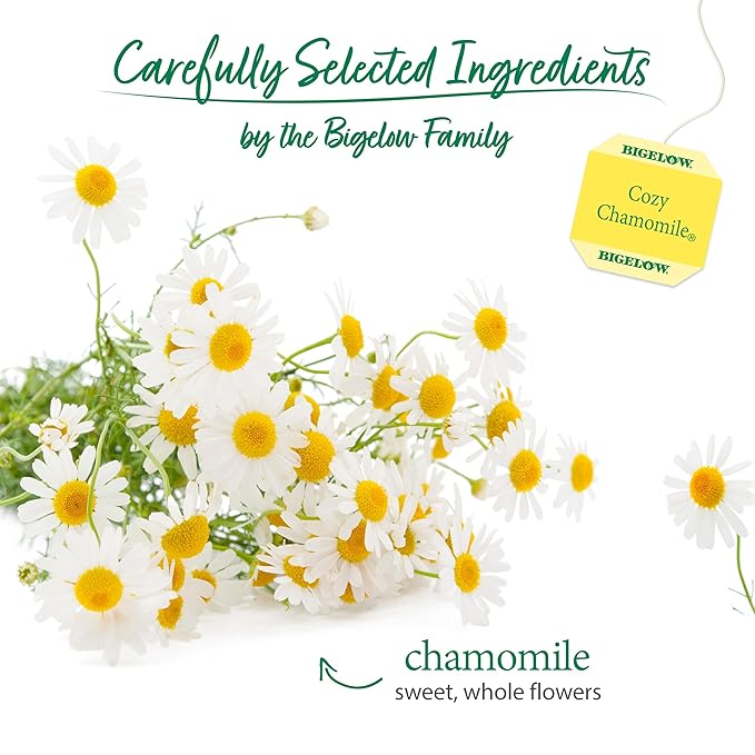 Bigelow,Cozy Chamomile Herbal, Caffeine Free Tea with Chamomile Flowers, 240 Total Tea Bags, 20 Count Box (Pack of 12)