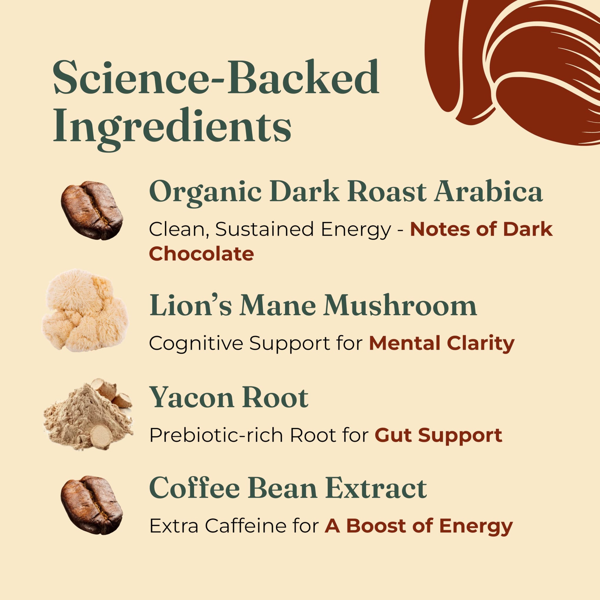 Organic High Caffeine Lion's Mane Ground Coffee (10 Ounce)