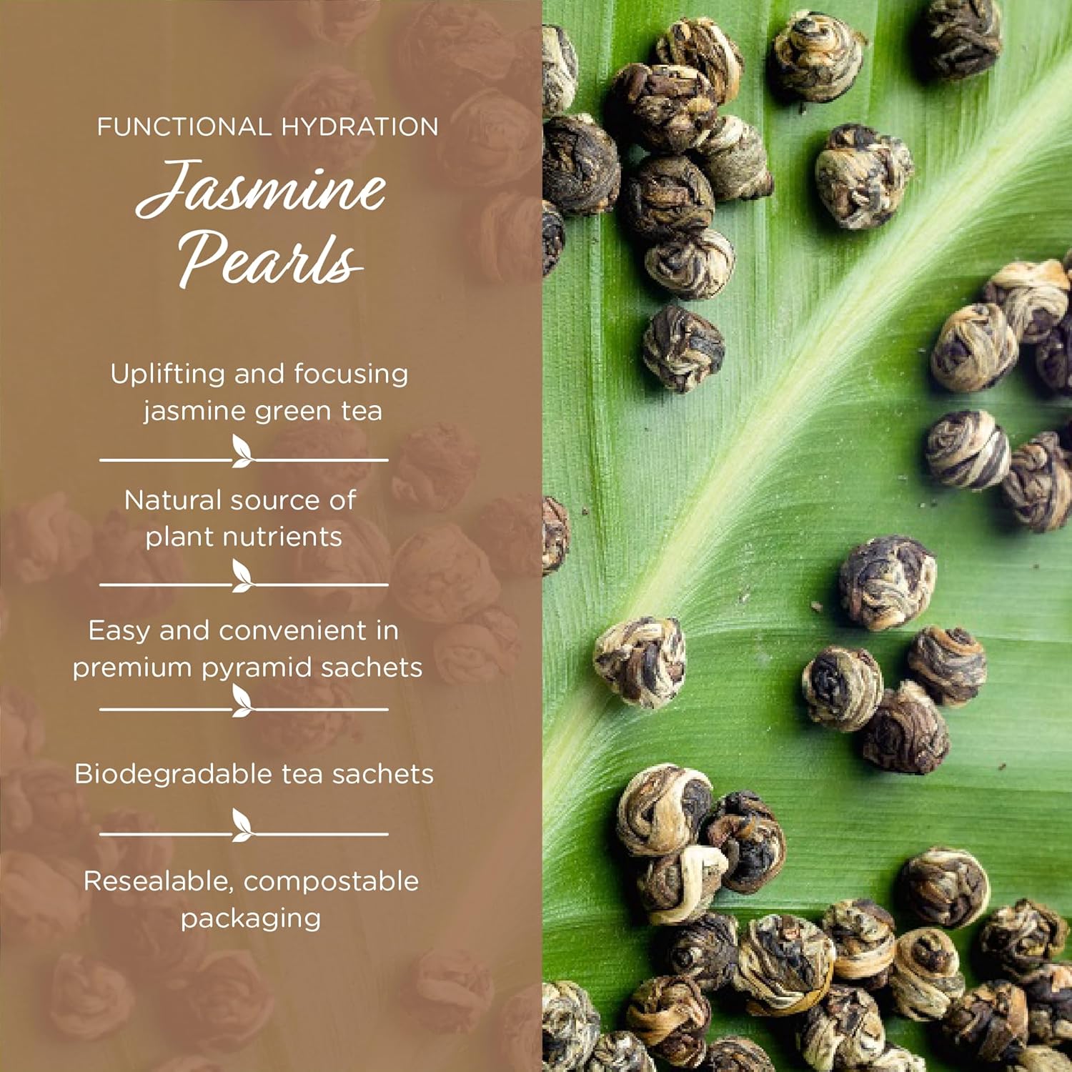 The Tea Spot Jasmine Pearls Green Tea | High-grade Jasmine infused Green Tea Pearls from Fujian | 15 Tea Bags