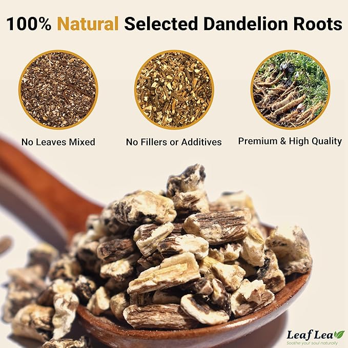 LeafLea Dandelion Root Tea Bags, 240 Count, Natural Dandelion Herbal Tea Blend, Natural Dried Dandelion Root, Caffeine-Free, Sugar-Free, Vegan, Sealed for Fresh Flavor, Pack of 6