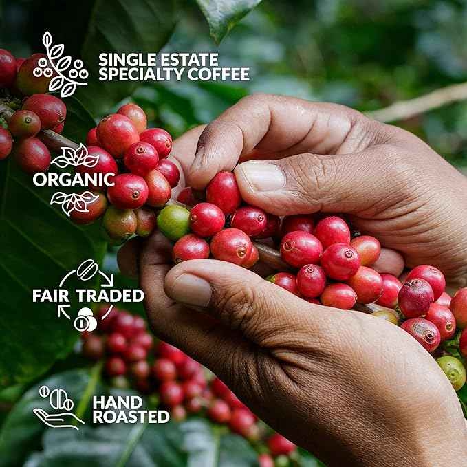 Original Gourmet Coffee Gift Set for Men & Women - 14 World's Finest Single Origin Specialty & Organic Coffees in Innovative Brewers | Sampler Box for Coffee Lover to Brew & Enjoy Anytime, Anywhere