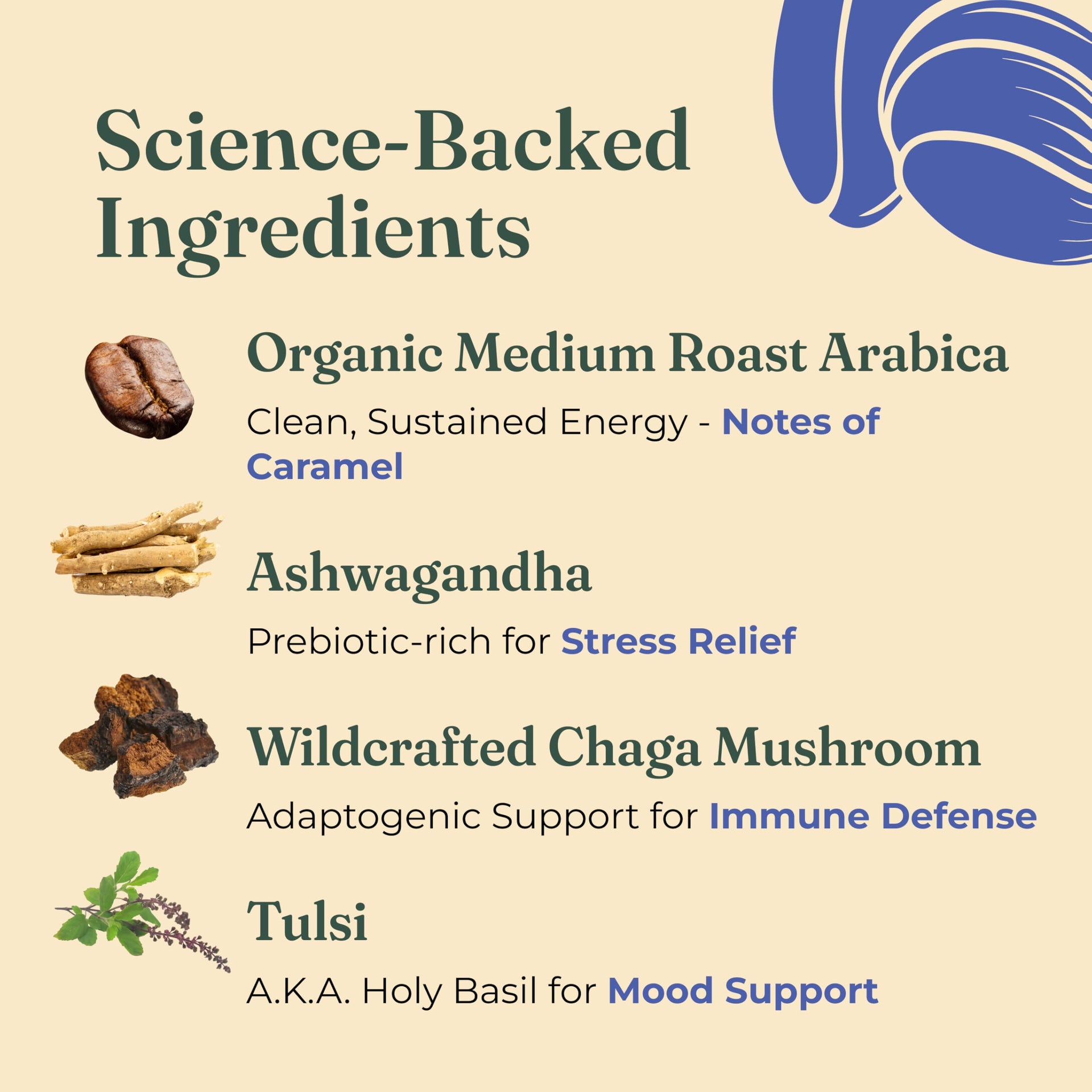 4551058 Four Sigmatic Organic Balance Adaptogen Ground Coffee (12 Ounce)