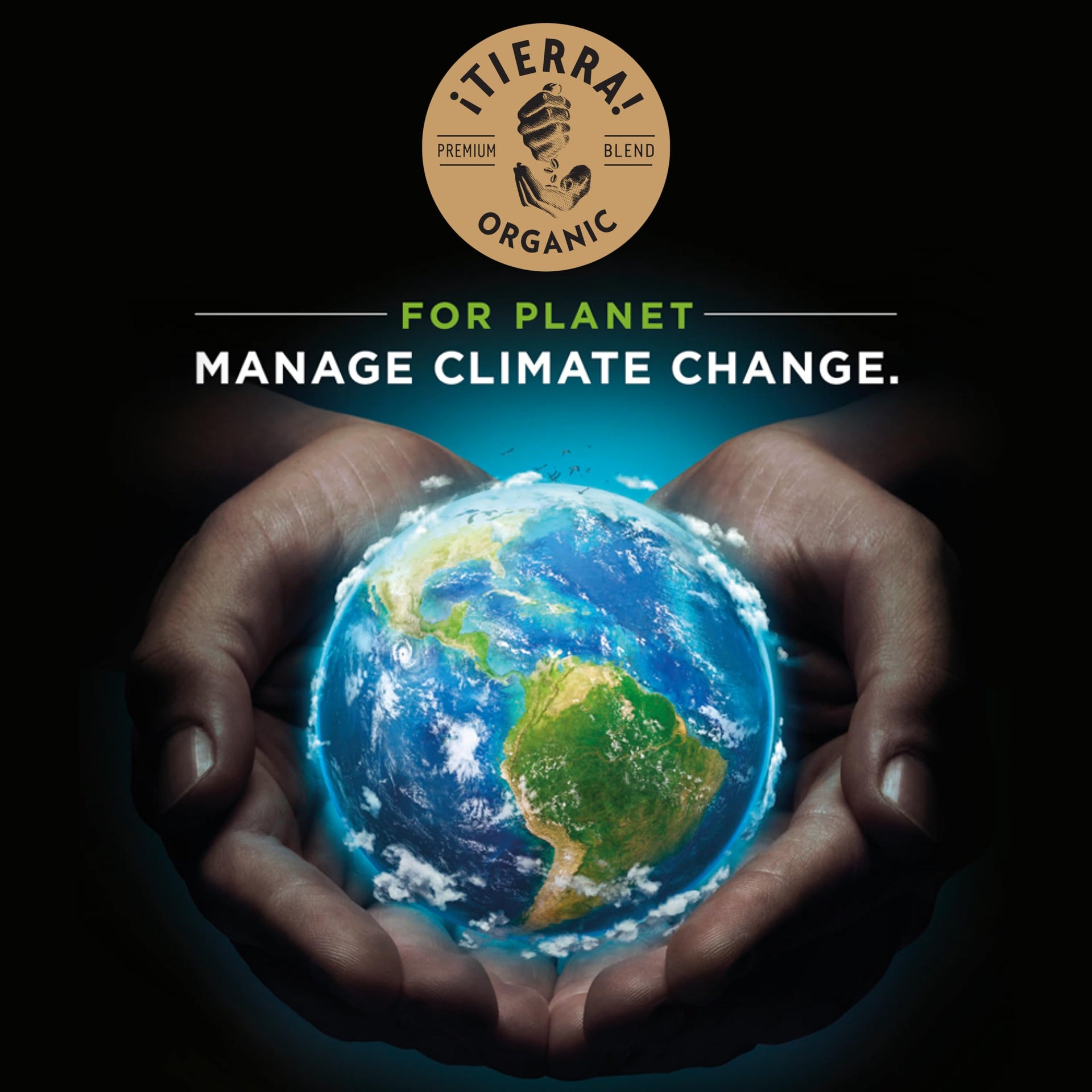 Tierra! Organic for Planet Whole Bean Coffee (35.27 Ounce)
