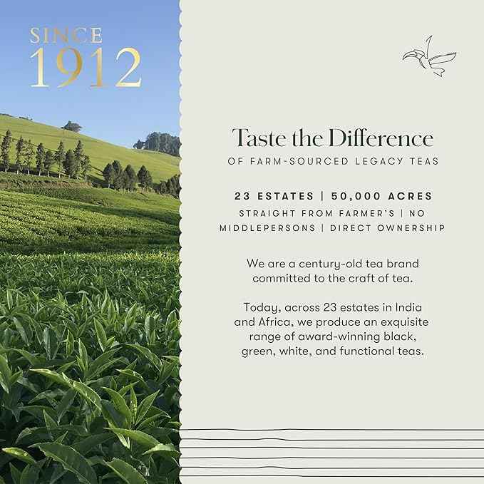 Luxmi Estates - Orange Spice - Black Darjeeling Tea - Loose Leaf - 100g (50 cups) | Special Edition Autumn Tea | Smooth, Flavorful, Robust and Caffeinated