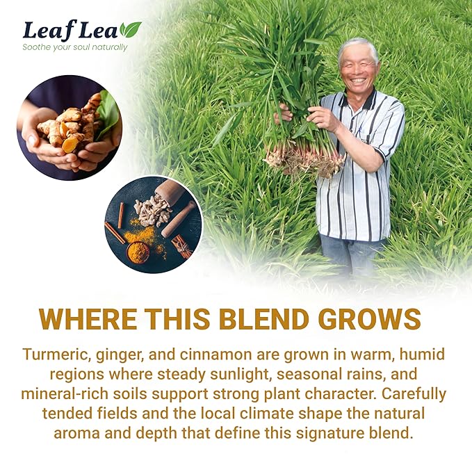 LeafLea 40 Turmeric Ginger Cinnamon Tea Bags, 100% Natural Ingredients Herbal Tea, Turmeric Ginger Herbal Blend for Wellness, Vegan, No Sugar, Caffeine-Free, Individually Wrapped for Freshness