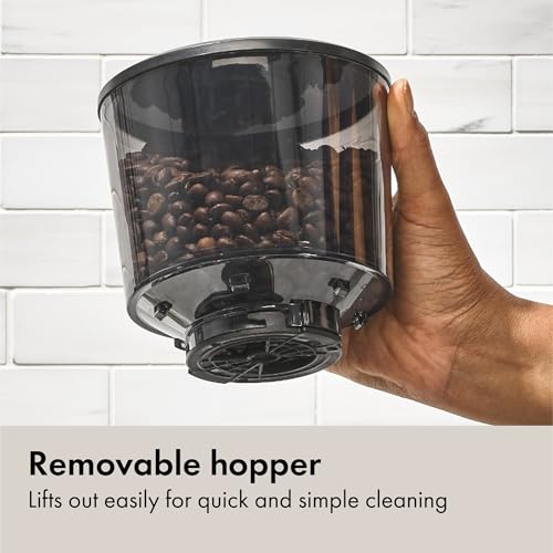 Brew Conical Burr Electric Coffee Bean Grinder (Silver)