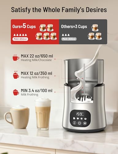 Milk Frother & Steamer (Steely)