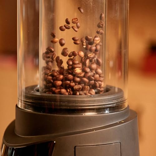Roma Pro Smart Home Coffee Bean Roaster