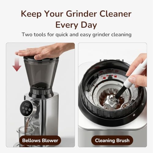 Electric Burr Coffee Grinder