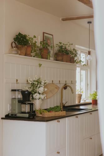 KBGV 53636 Coffee Maker (Eucalyptus)