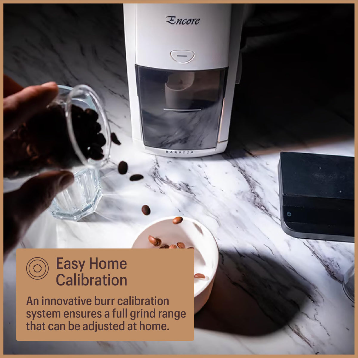 Encore Coffee Grinder ZCG485BLK (Black / 4.7 x 6.3 x 13.8 inches (Pack of 1))