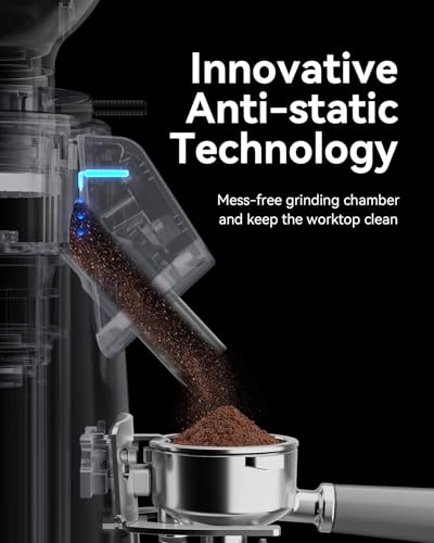 64mm Flat Burr Coffee Grinder (Stainless Steel Flat Burrs)