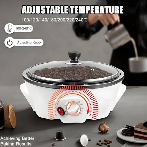 Home Use Professional Coffee Roaster Machine 300