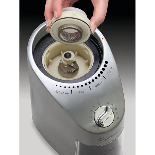 Infinity Plus Stainless Steel Conical Burr Grinder (Stainless Steel / 11 oz (Pack of 1))