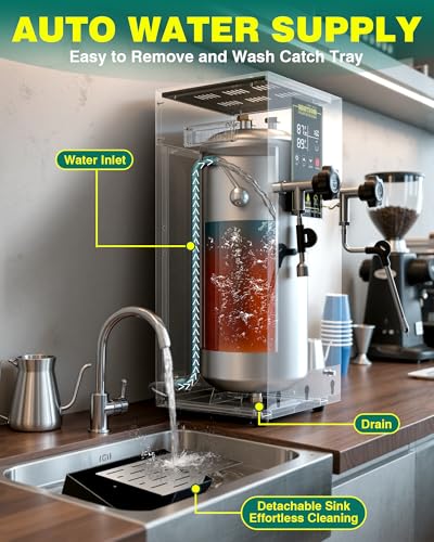 Commercial Milk Frother (Sliver)