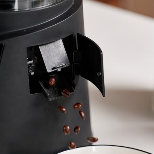 Roma Pro Smart Home Coffee Bean Roaster