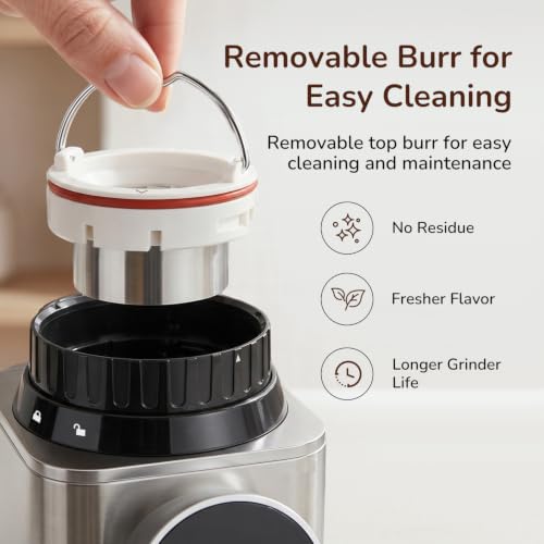 Electric Burr Coffee Grinder