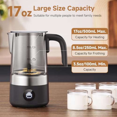 Electric Milk Frother and Steamer 8 (Stainless Steel)