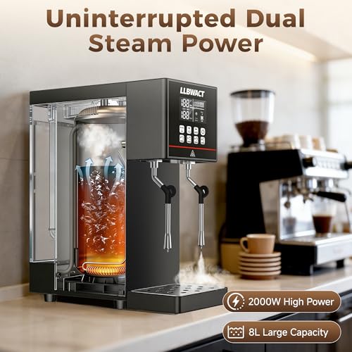 Dual Head Commercial Steam Milk Frother (Dual Steam Wands / Dual-Head)