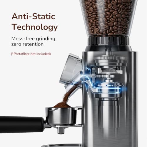 Electric Burr Coffee Grinder