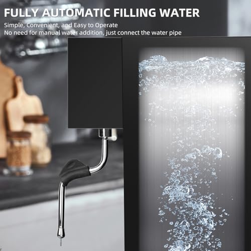 Commercial Milk Frother