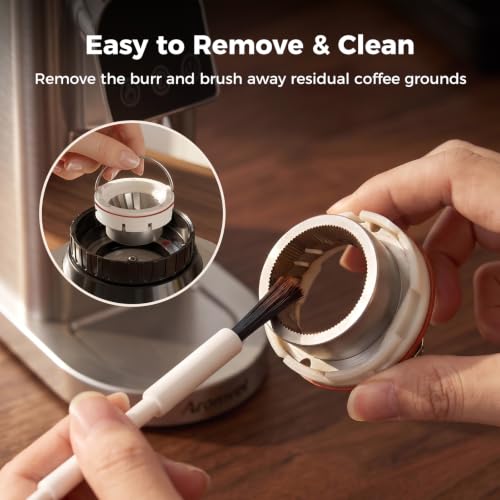 Conical Burr Coffee Bean Grinder with 48 Settings (Bright Silver)