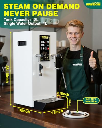 Commercial Milk Frother (Sliver)