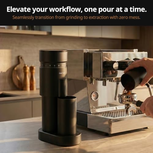 Burr Coffee Grinder