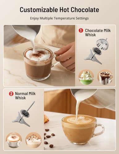 Milk Frother & Steamer (Steely)