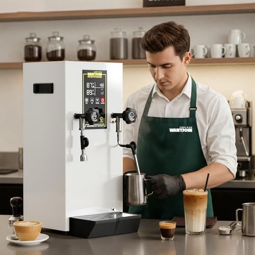 Commercial Milk Frother