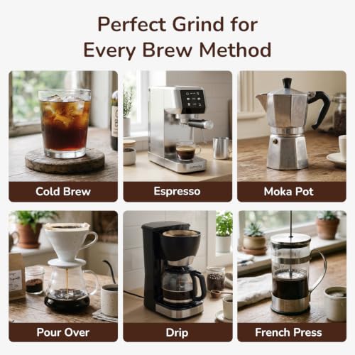 Electric Burr Coffee Grinder