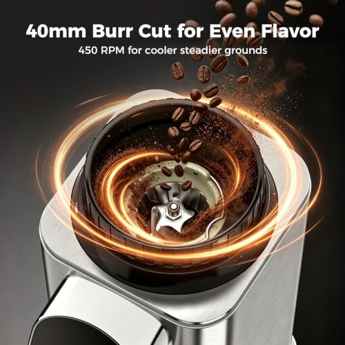 Conical Burr Coffee Bean Grinder with 48 Settings (Bright Silver)