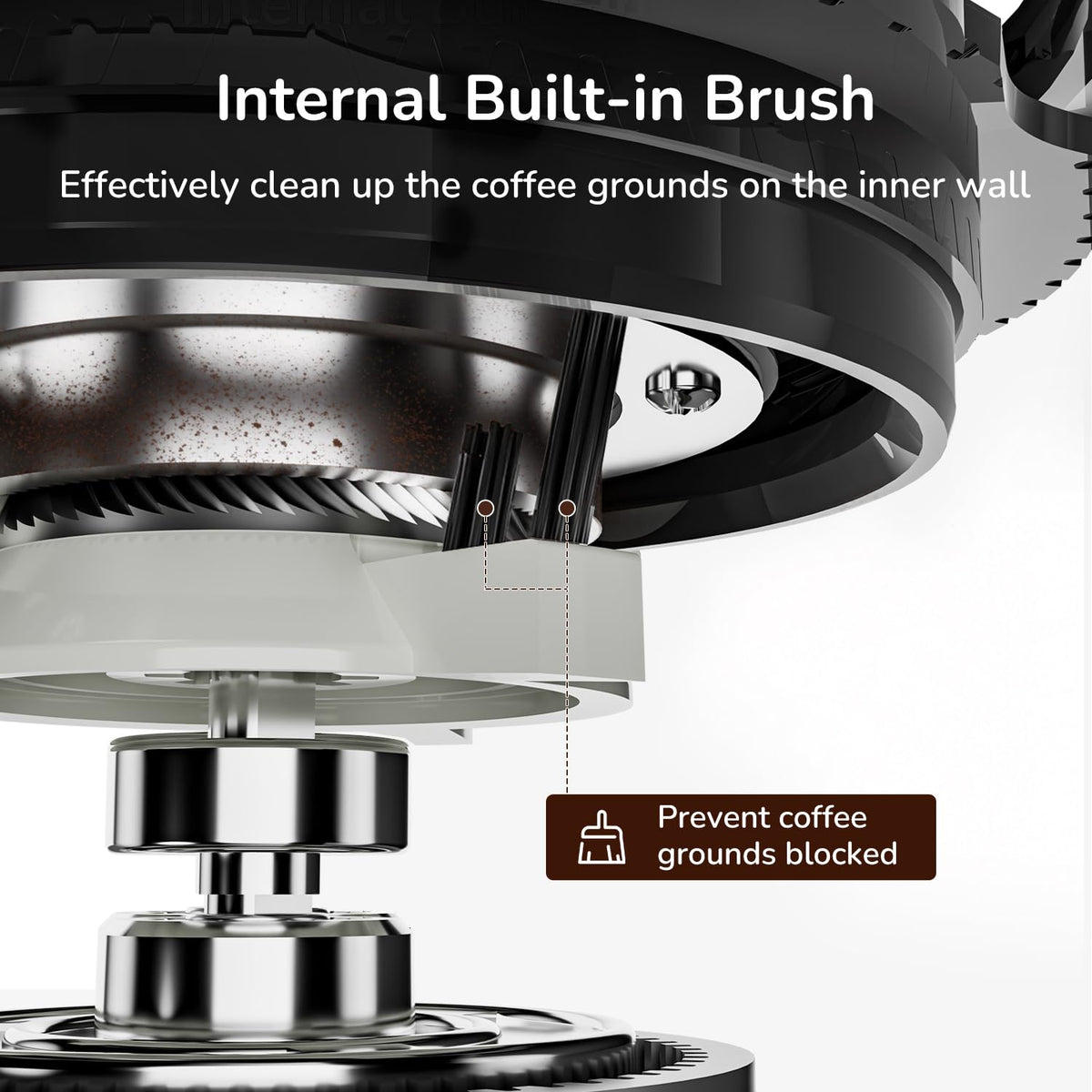 Electric Burr Coffee Grinder
