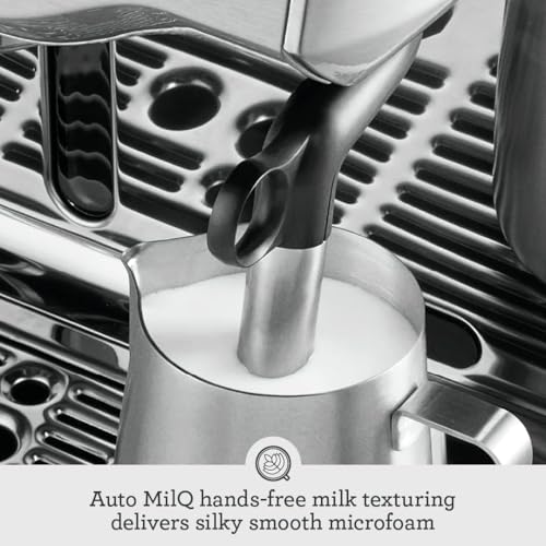 BES980XL Oracle Espresso Machine (One Size / Silver)