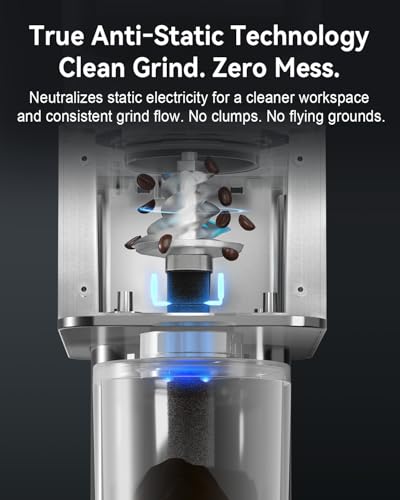 Electric Conical Burr Coffee Grinder with Removable Coffee Scale (Silver)